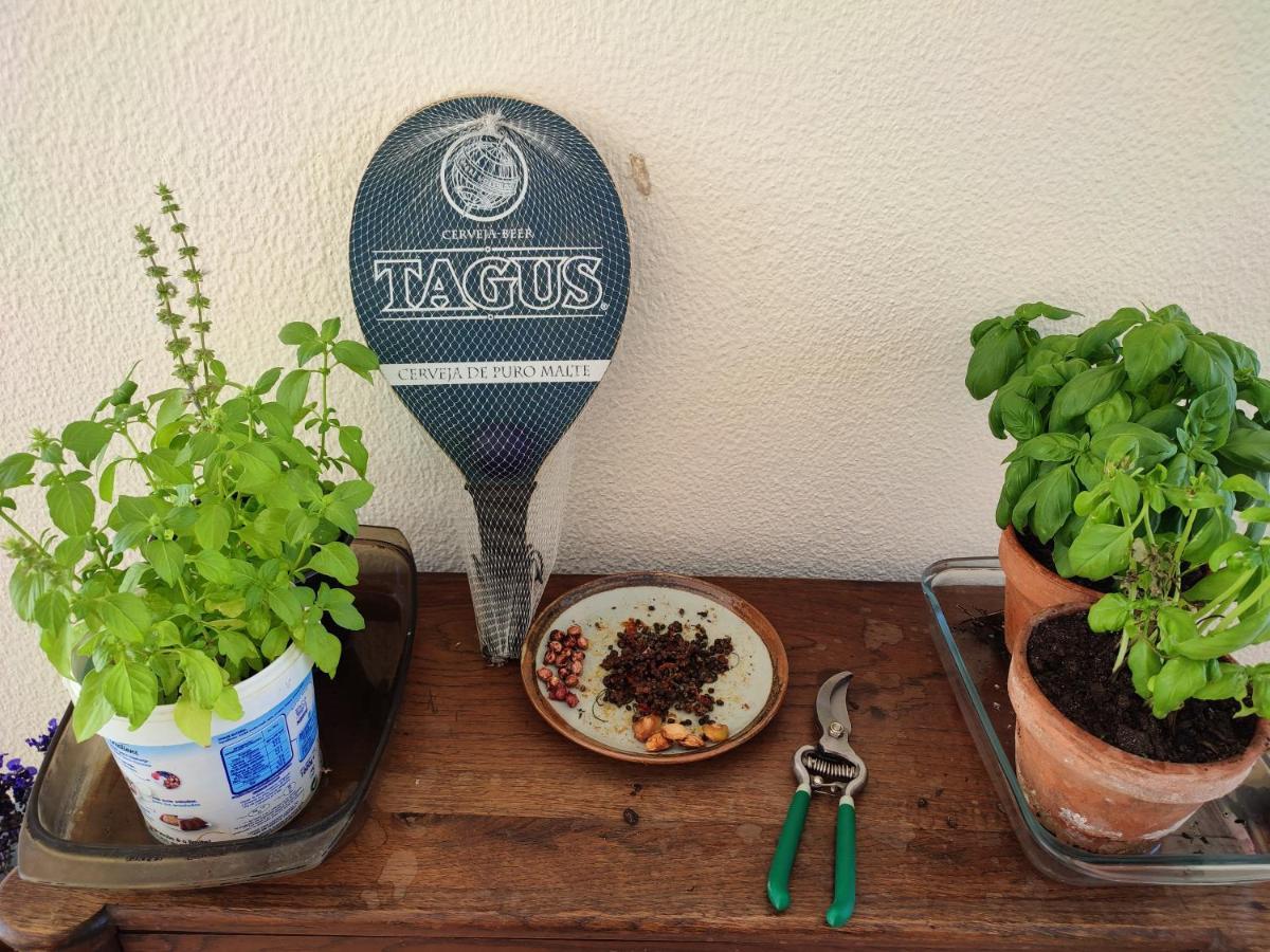 Guesthouse Monte Francisco Baanswy - 3 Quartos - Piscina Privada 카스트로마림 외부 사진