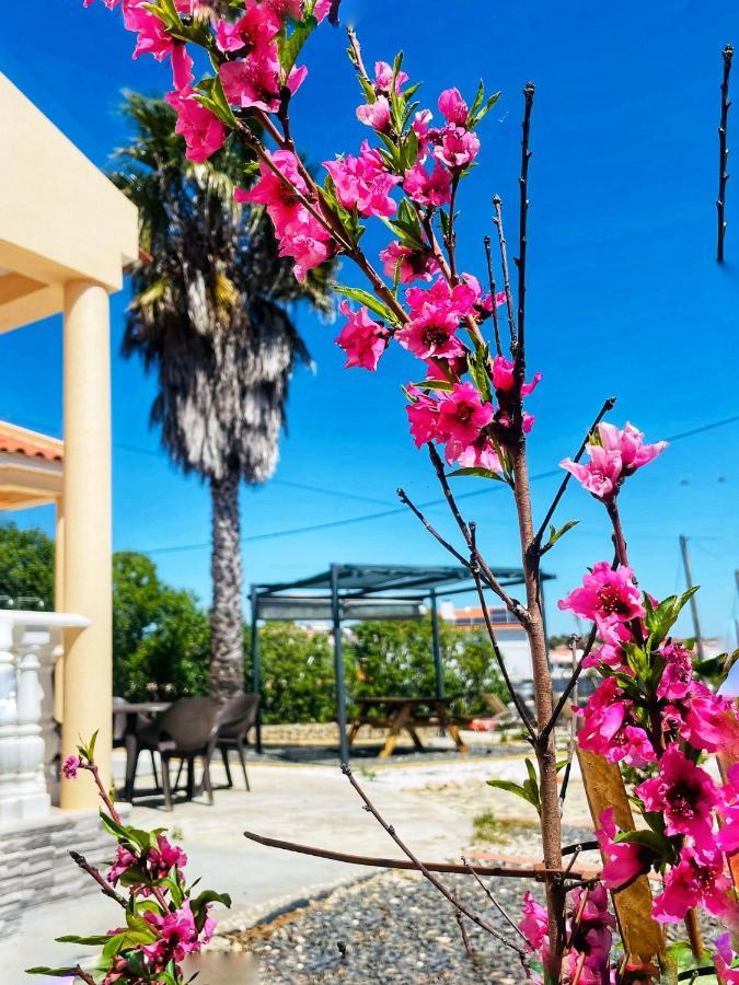 Guesthouse Monte Francisco Baanswy - 3 Quartos - Piscina Privada 카스트로마림 외부 사진