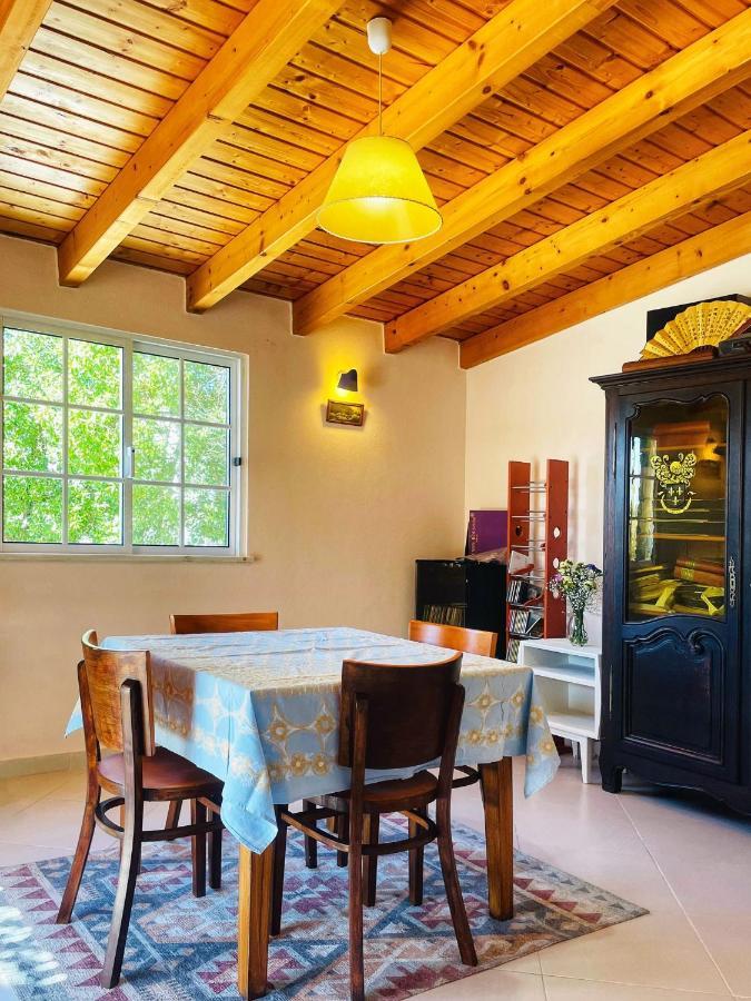 Guesthouse Monte Francisco Baanswy - 3 Quartos - Piscina Privada 카스트로마림 외부 사진